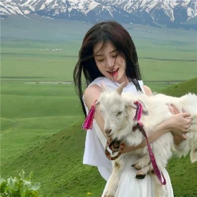 爱情游戏
