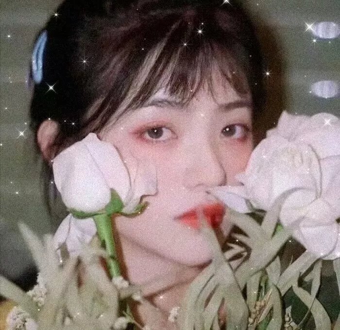 荷索的自画像